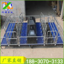 現代養豬設備 提升效率與動物福利的關鍵