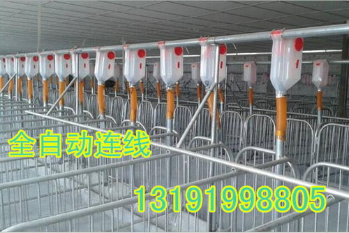 大小型豬舍均可安裝自動化下料線，提升養(yǎng)豬效率與經(jīng)濟效益