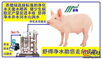 精品綠色環(huán)保水處理設(shè)備助力養(yǎng)豬場高效機(jī)械化養(yǎng)殖