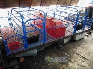 供應鞍山養豬設備，當選愛諾 電熱板、保溫箱、產床等一站式解決方案