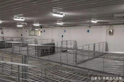 養(yǎng)豬場水泡糞模式 四大關(guān)鍵養(yǎng)豬設(shè)備注意事項(xiàng)