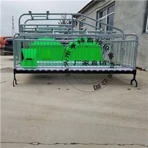 湖北十堰豬舍現代化升級 母豬雙體產床分娩欄的采購與應用指南